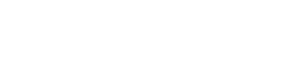 Blue Hat Services White Logo